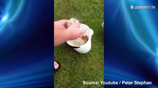 Éplucher des pommes de terre devient un jeu d'enfant