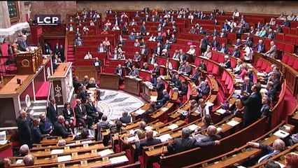 Quand le vice-président de l'Assemblée nationale lâche "putain de m..." en pleine séance
