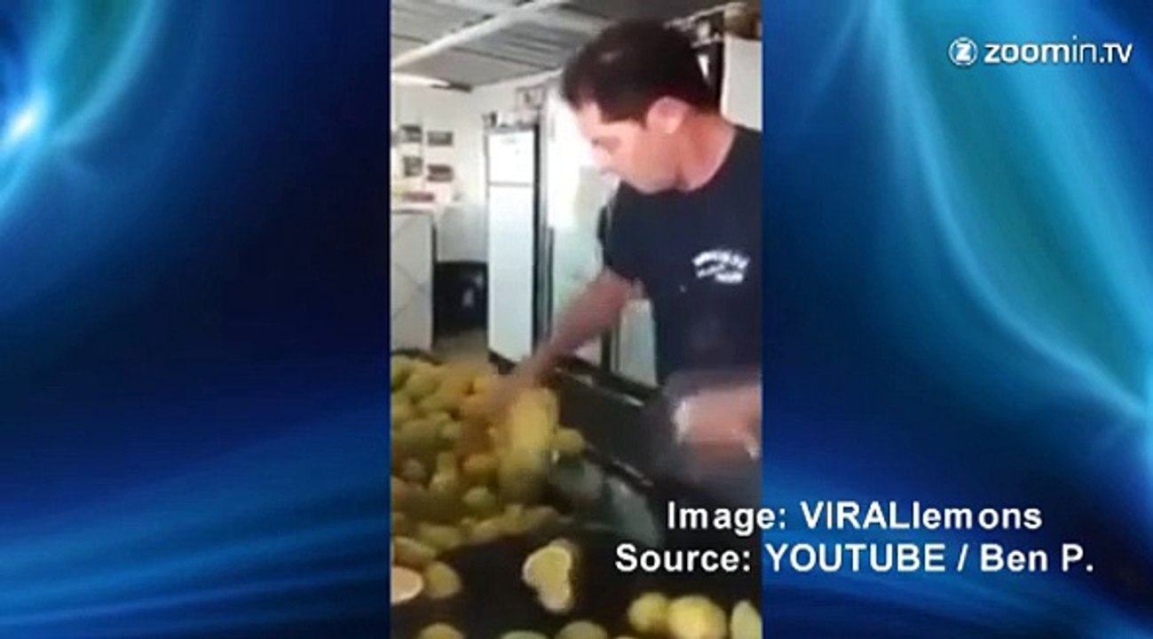 Le coupeur de fruits le plus rapide du monde, c'est lui