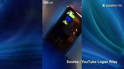 Nez à nez avec un requin!