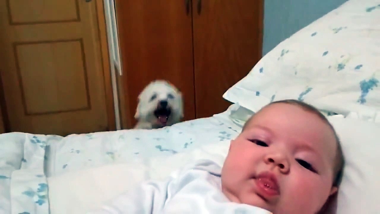 Trop mignon : cet adorable chiot a très envie de voir le bébé de la famille