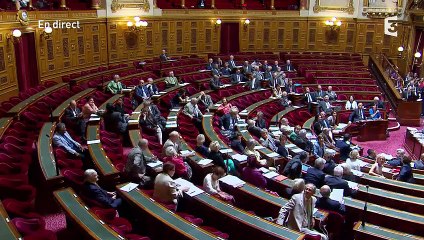 "Etes-vous macs ou sénateurs ?" : quand les Femen font irruption au Sénat