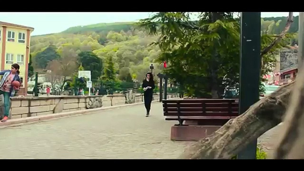 Donnez à manger aux chiens et chats errants en recyclant vos bouteille en plastique