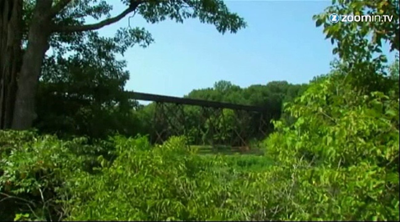 Elles échappent à la mort d'extrême justesse