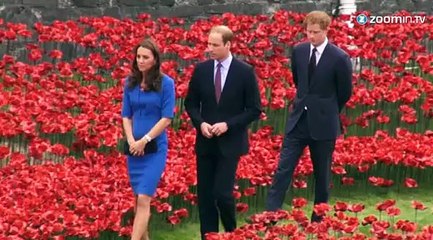 William, Kate et Harry dans un champ de coquelicots