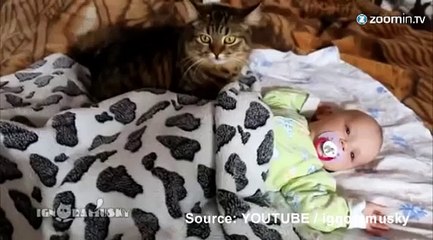 Un bébé massé par un chat