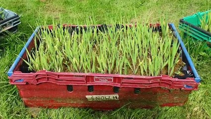 Et les gagnants du Google Science Fair sont...