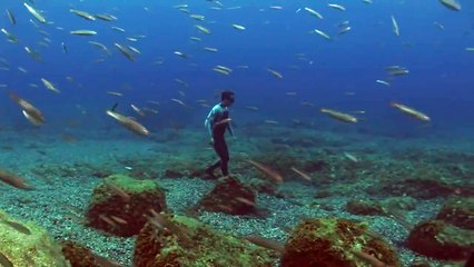Ce plongeur donne l'impression de marcher sur l'eau