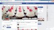 Create A Facebook Page For Business & Make Page SEO-9
