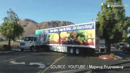 Une femme dans un camion, un arbre abattu!