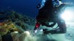 Italie: des plongeurs découvrent des amphores