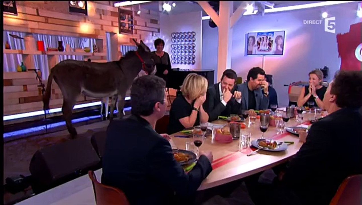 Un âne défèque en direct dans C à vous