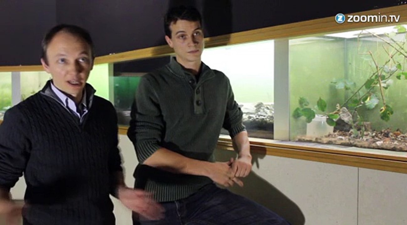 Découverte: voici le 2ème plus long insecte au monde!