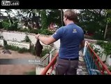 Ces touristes paayent pour donner des animaux vivants à manger aux crocodiles