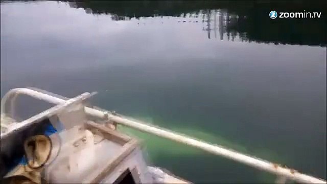 Ce pêcheur tombe sur un bien gros poisson!