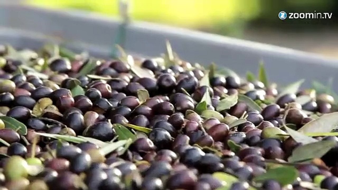 L'huile d'olive italienne n'est pas italienne