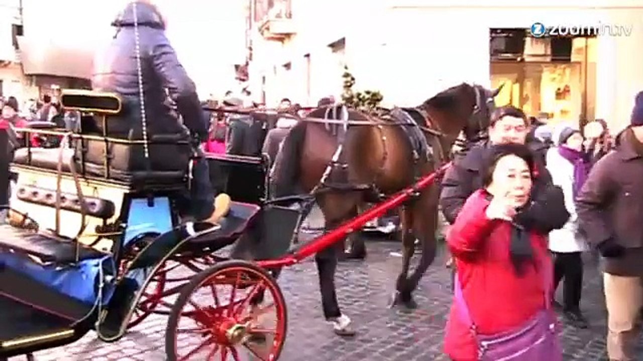Rome: les calèches, un enfer pour les chevaux!