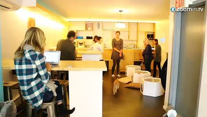 Adoption en vue? Ce pop up cat café fera votre bonheur
