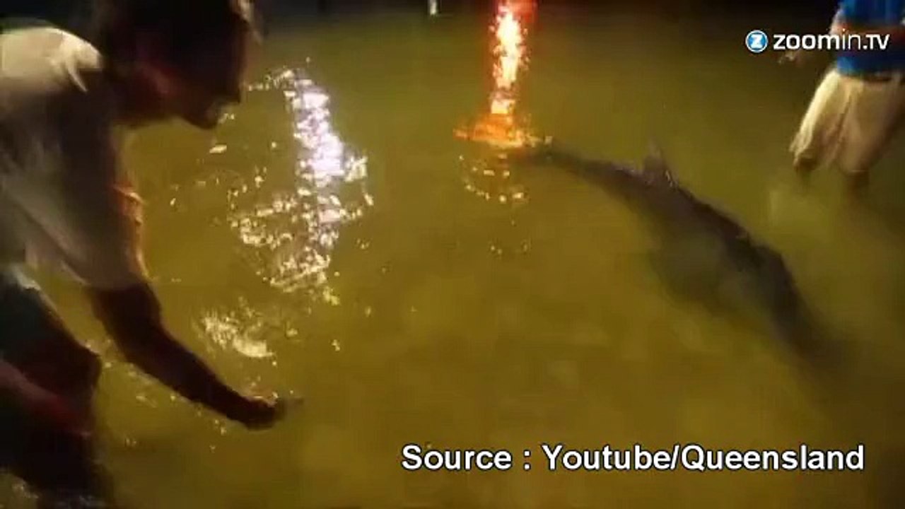 Roger Federer fait ami-ami avec les dauphins