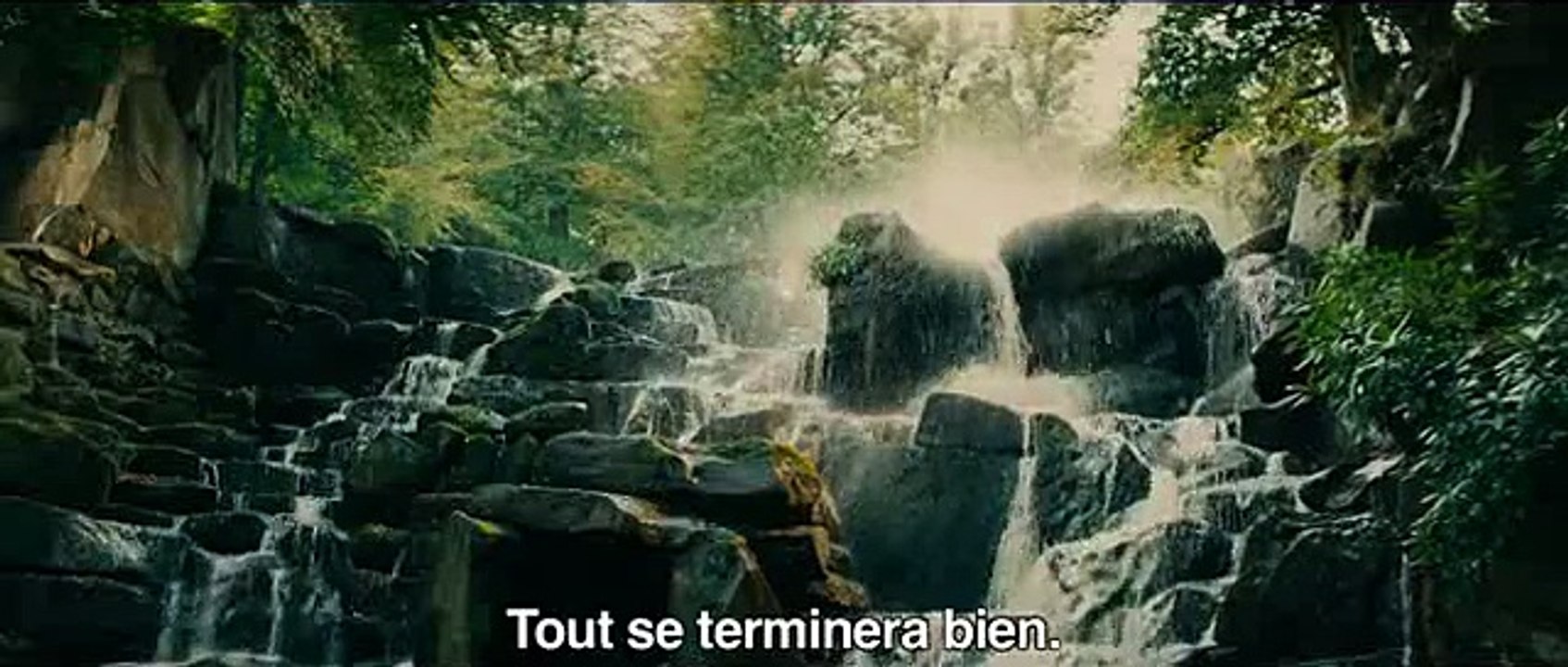 Into the woods, promenons-nous dans les bois