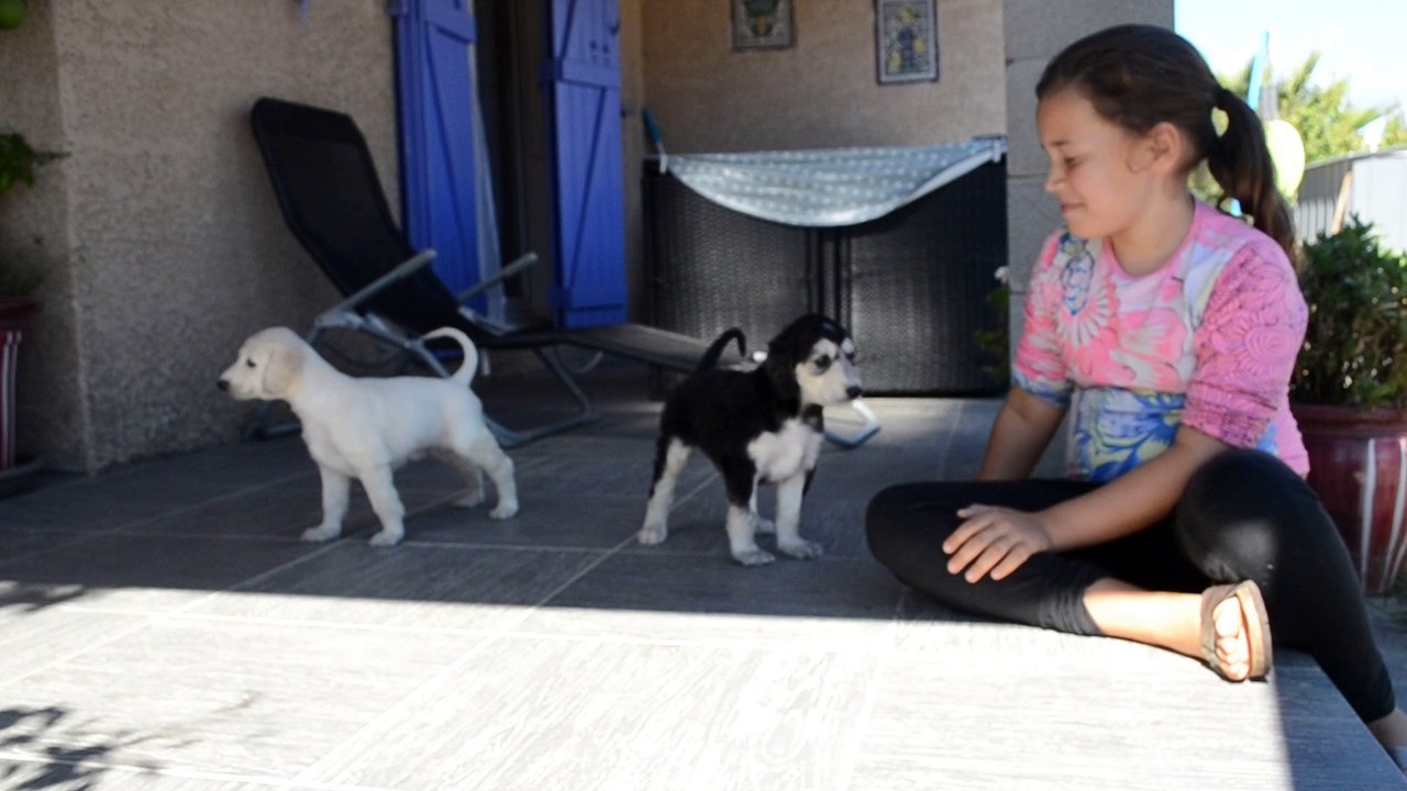 bebes freddie lisa 1