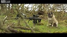 Special Ops Sniper Pug