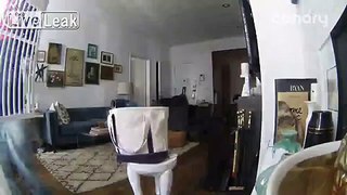 LiveLeak.com - Man Watches Burglars On His Cell Phone