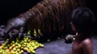 The Jungle Book Official Teaser Trailer #1 (2016) - Scarlett Johansson, Bill Murray Movie Magic HD