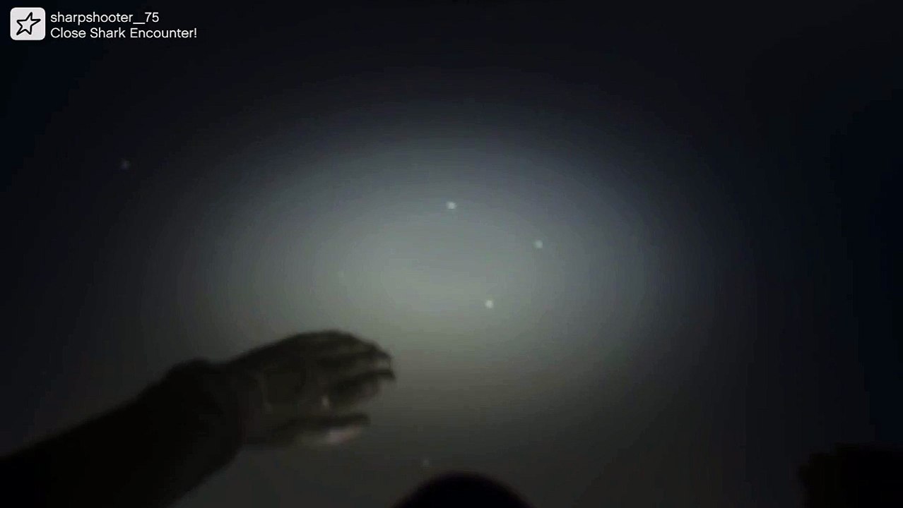 GTAV :- Animal Discovery!