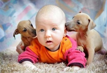 Köpekler ve Bebeklerin Güldüren Görüntüleri