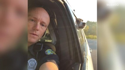 Cop takes adorable selfie with dog in the backseat