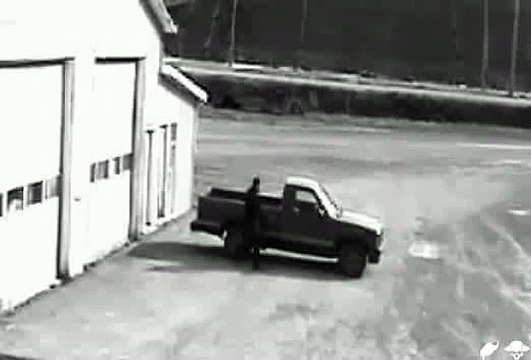 Un voleur pas très futé !