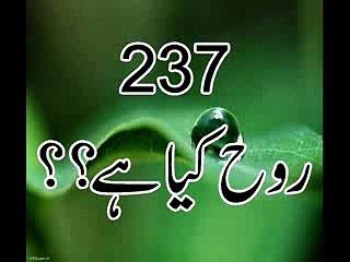Q 237 Rooh Kia Hay (Shah Turab ul Haq)