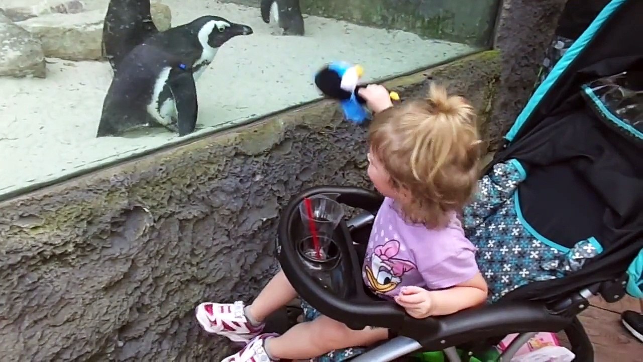 Penguins