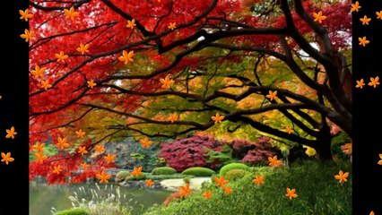 attaullah khan songs zikar jab chid gaya unki