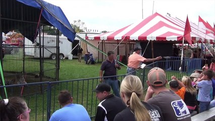 Doug Terranova Circus