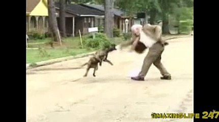 Sexy News Reporter Owns Drunk 49ers Fan! STD