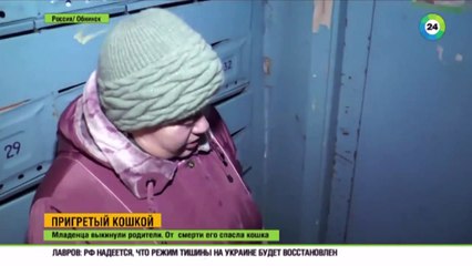 Спасшая младенца кошка стала мировой знаменитостью!