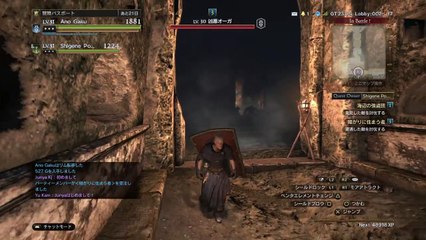 ドラゴンズドグマ オンライン_武器レベル