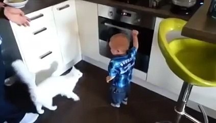 Кошка защищает малыша от горячей плиты!