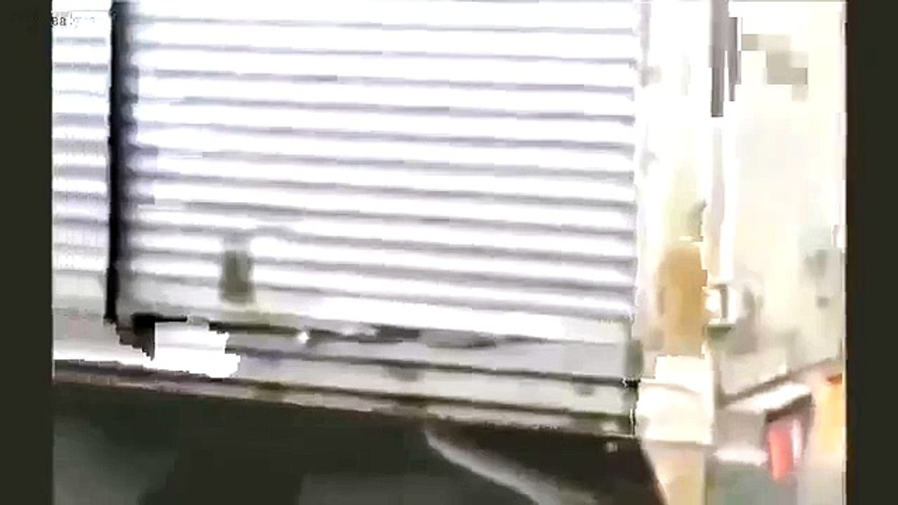 Man drives freely after slamming into a tree