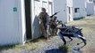Marines Test Quadruped Robot For Military Operations