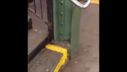 New York City RAT brings PIZZA Home in the Subway