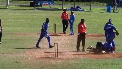 Bermuda Cricket Fight - Ugly brawl mars Bermuda match 2015