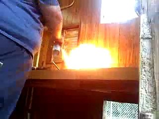 The "proper" way to get rid of wasps