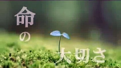 泣ける感動ムービー1【命の大切さ】