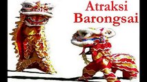 Atraksi Gagal Barongsai