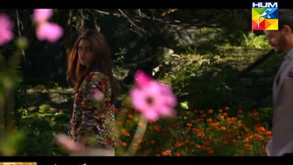 WaliFaarah/Diyar-e-Dil/Naam-e-Wafa