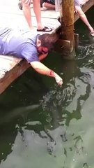 Somebody should have thrown that annoying woman in the water.