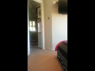 Electric shock Prank on wife More fun